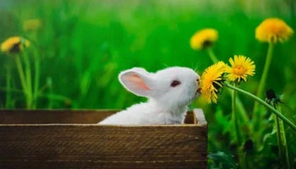 黄山风景区一女子翻护栏在悬崖边捡手机,脚下就是 “万丈深渊”