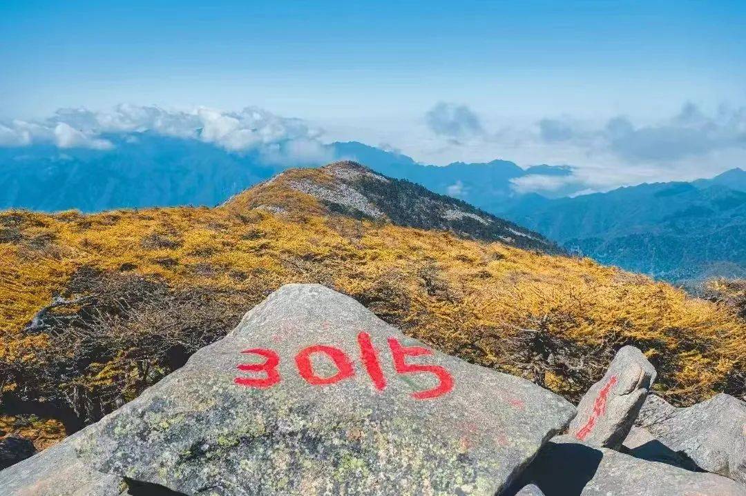 2人不幸遇难！痛心，才20多岁