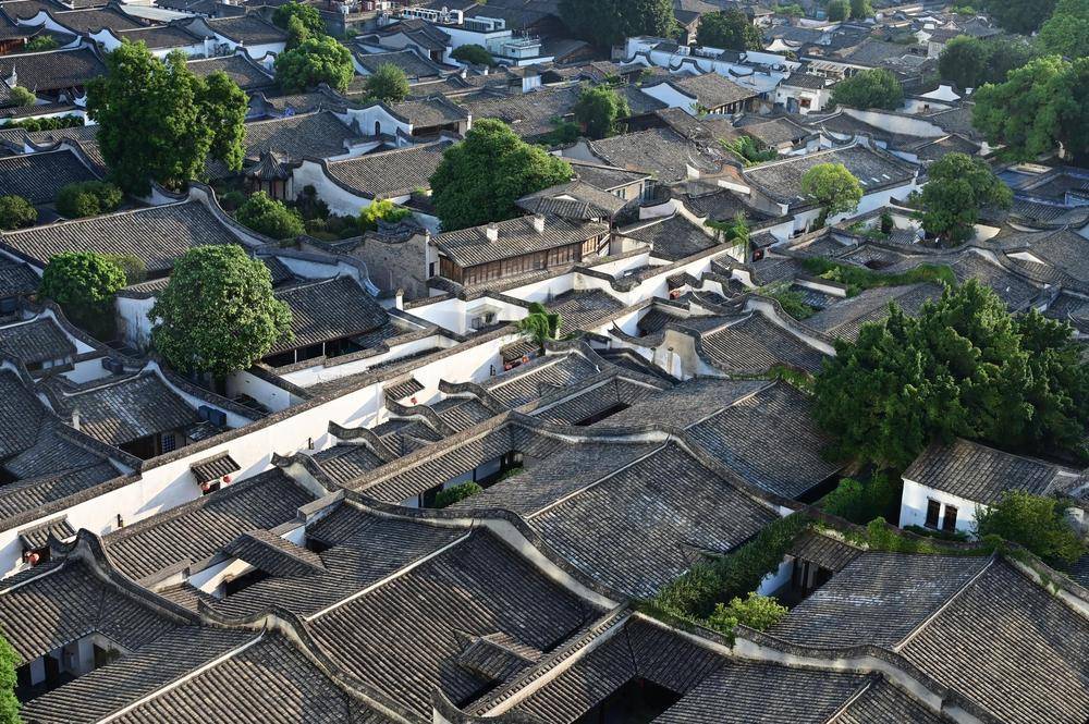 时政微观察丨从这些辩证关系，读懂“现代化人民城市”