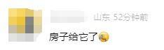 有人家中出现“巨型蟑螂”？网友：房子给它了