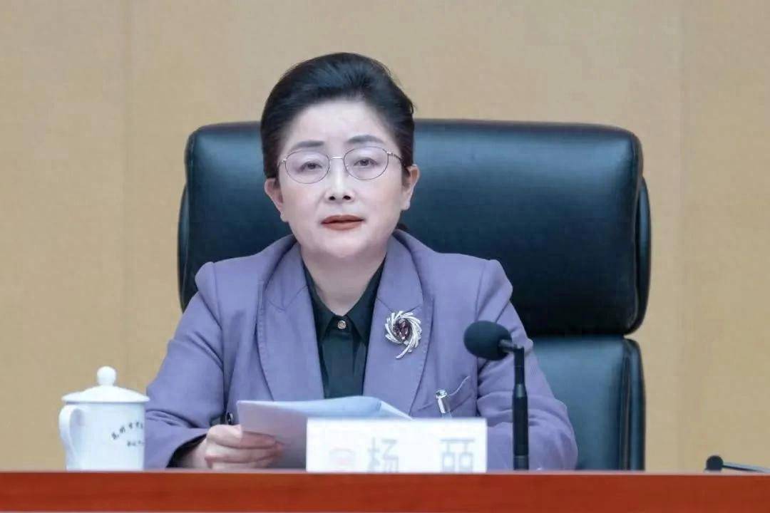中央提级巡视后杨皕投案，昆明表态