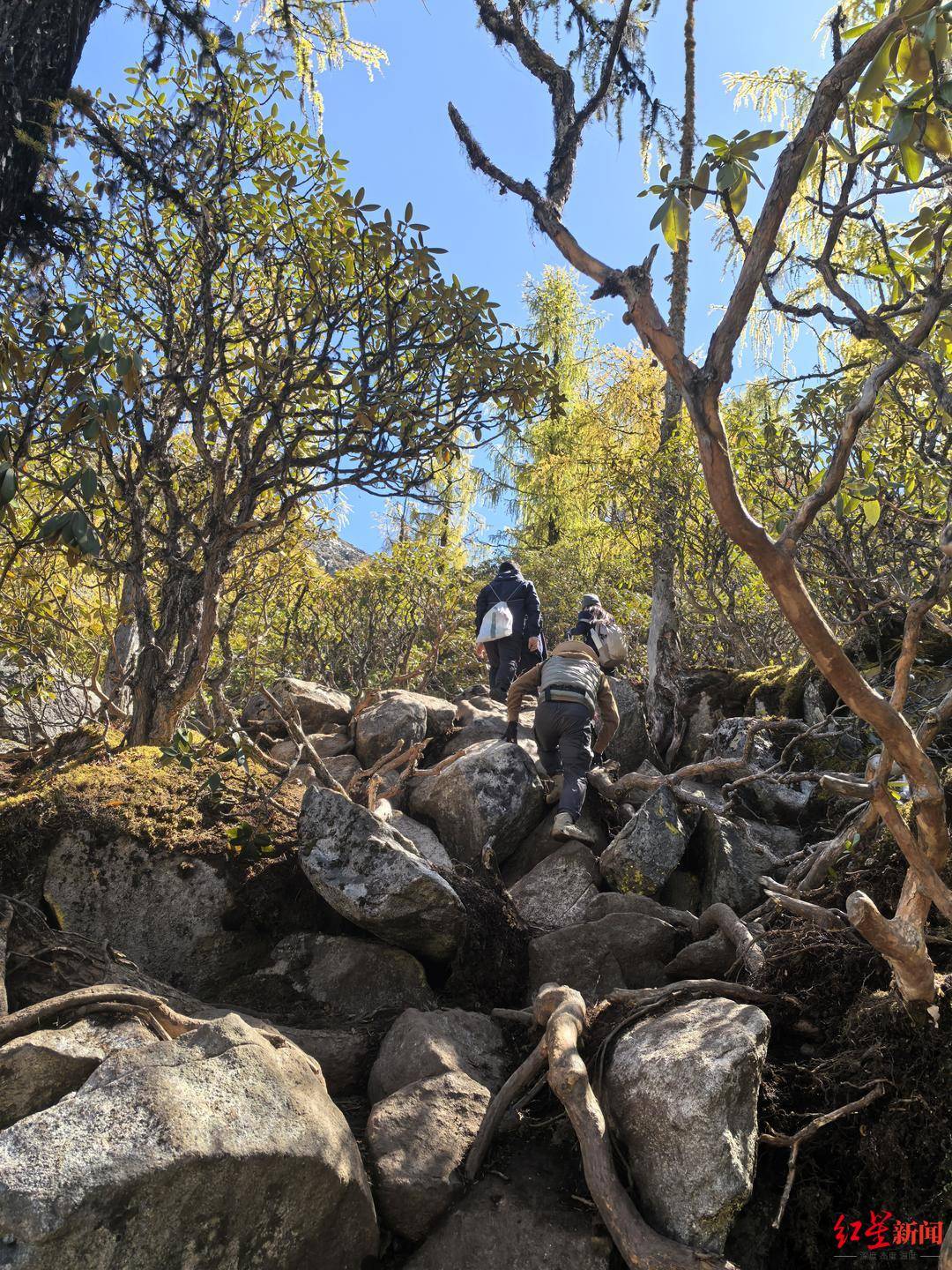 川西登山徒步乱象调查①丨重走党岭高反女孩徒步路线:山高路险!有团队未带食物,报警多是迷路